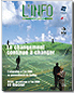 French Articles